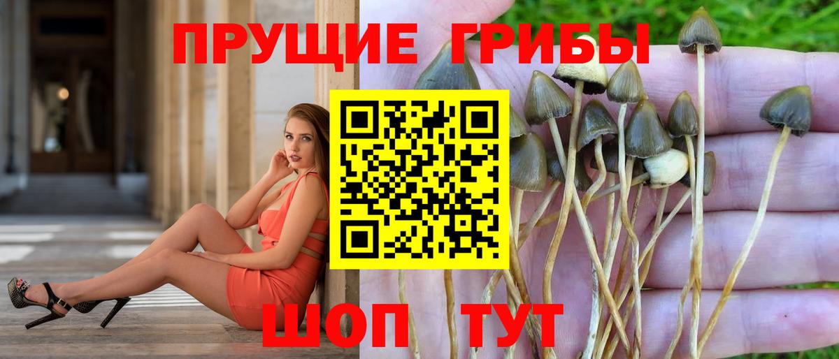 Галлюциногенные грибы мицелий  Галлюциногенные грибы мухоморы  Ефремов  Вход с VPN 
