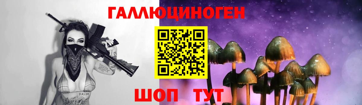 Псилоцибиновые грибы GOLDEN TEACHER Ефремов